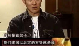 甄子丹爆料吴毅了吗视频,揭秘背后惊人内幕